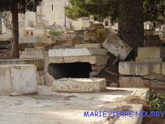 MERS EL KEBIR CIMETIERE (2) 2006
